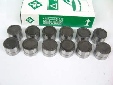 VR6 INA Hydrostössel